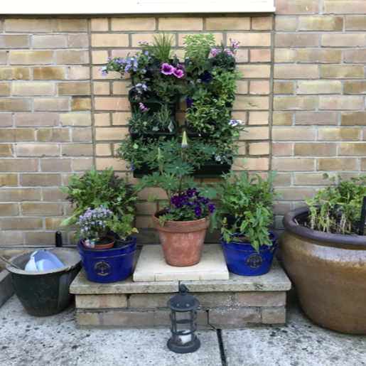 Verticale tuin plantenbakken aan muur met bloemen